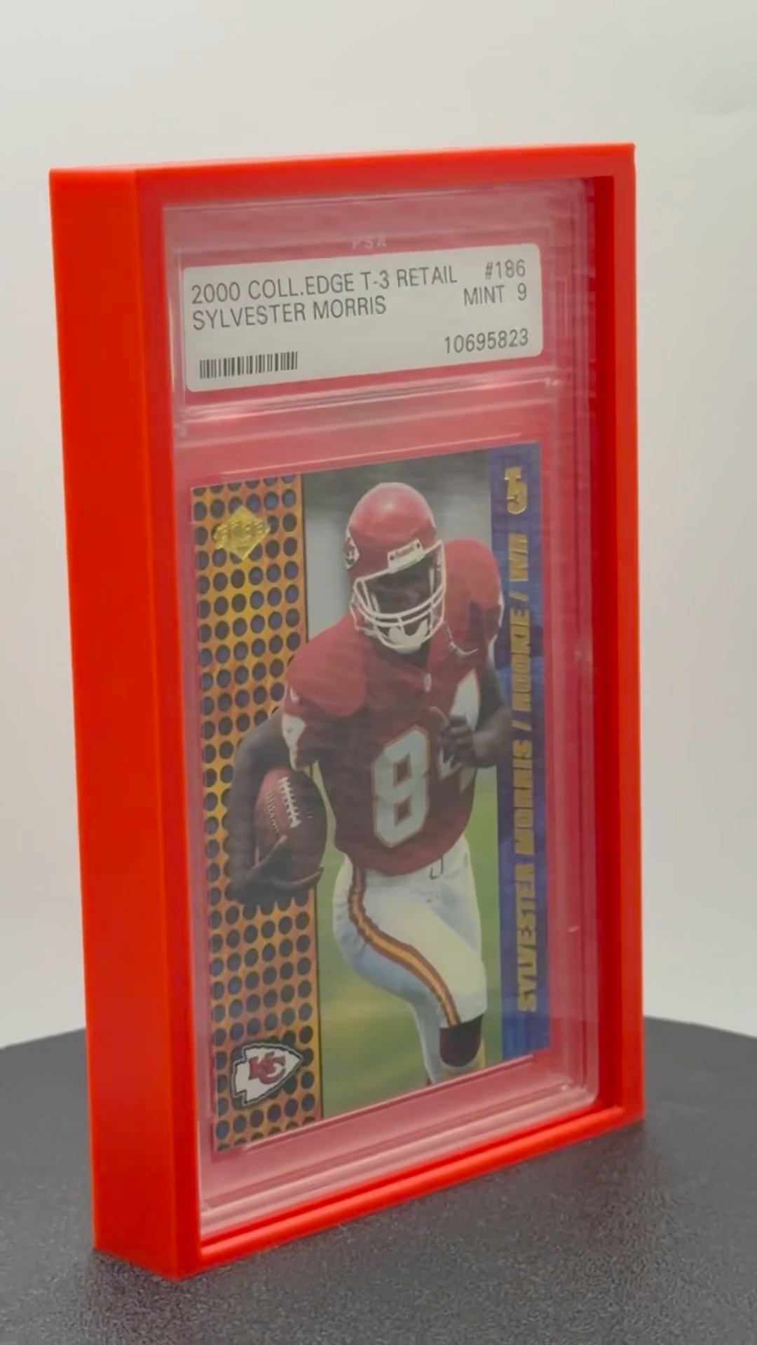 LoonLock Solo - PSA Graded Slab Wall Mount Display